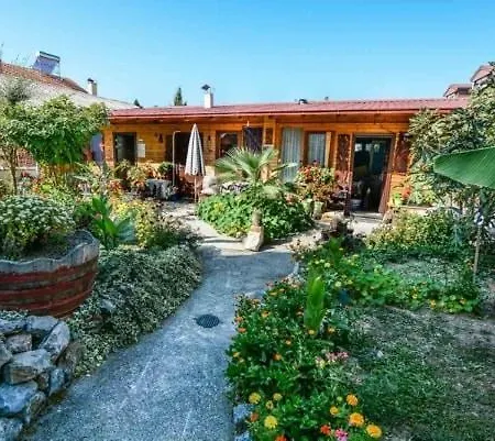 Backyard Ohrid